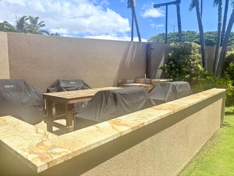 WAILEA ELUA #2010 - image 17
