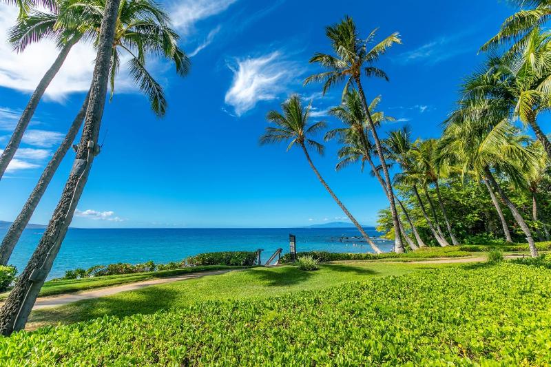 WAILEA ELUA #2010 - image 38