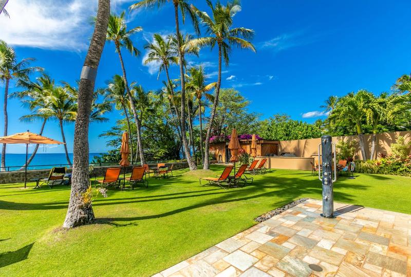 WAILEA ELUA #2010 - image 42