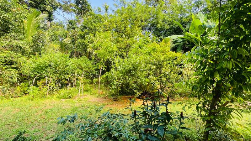 Flower Garden House - image 4