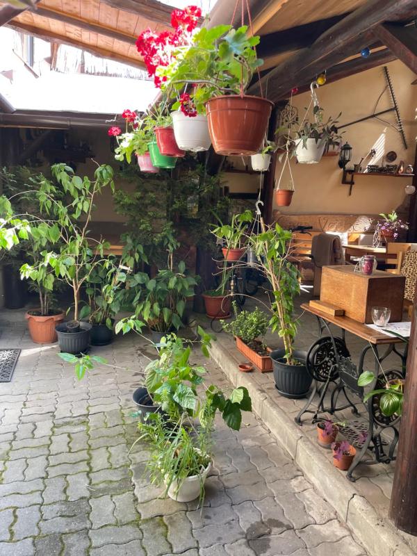 Casa Veche - image 49