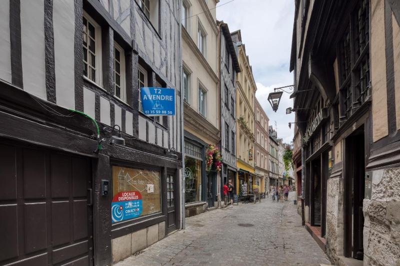 Bienvenue à LOlive votre écrin vert nature au cœur de Rouen - image 36