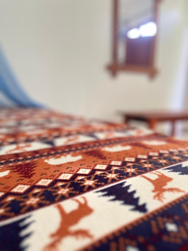 The Solis Homestay - image 4