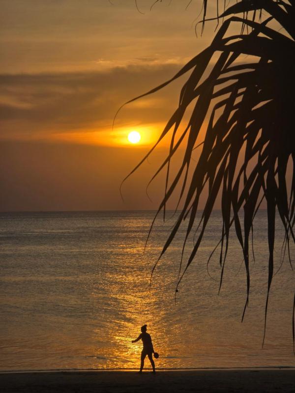 The Last Paradise - image 46