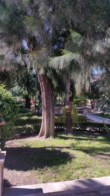 Residenza Del Turista - image 8