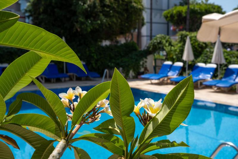 Miray Hotel Kleopatra - image 31