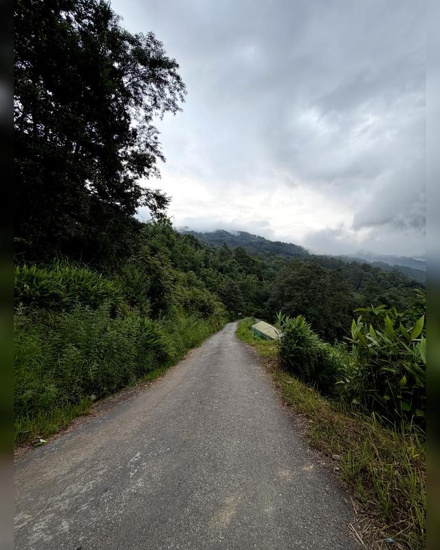Kepchaki Stay - image 12