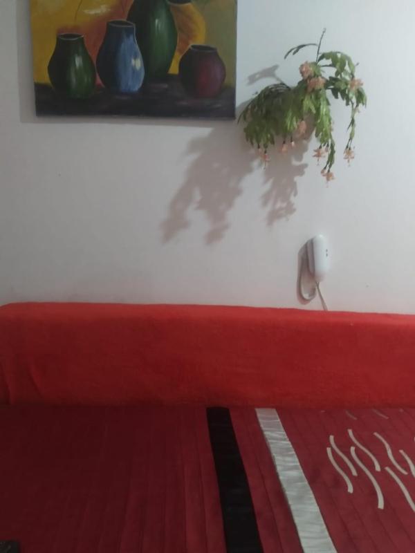 Casa da Jú - image 7