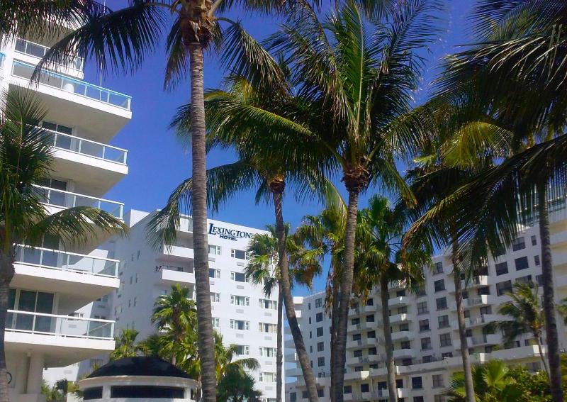 LEXINGTON HOTEL MIAMI BEACH - image 29