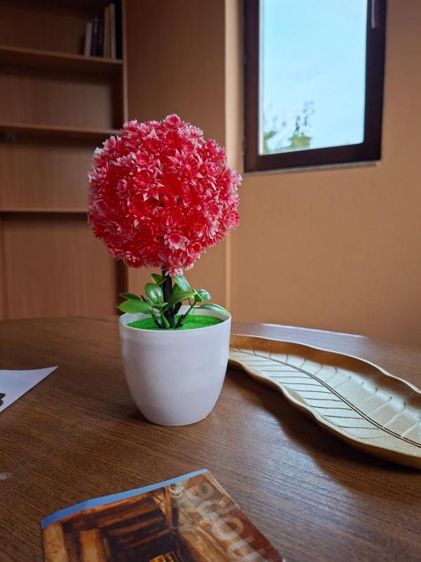 Apartman Mickey - image 9