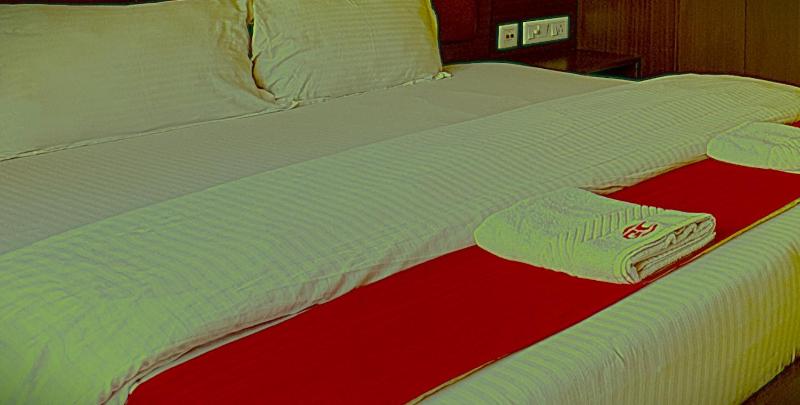 Hotel Ghumog Stay In Kasauli - image 6