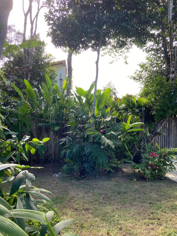 Casa Boutique em trancoso - Piscina & Jardim - image 35