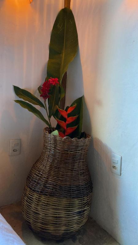 Casa Boutique em trancoso - Piscina & Jardim - image 32