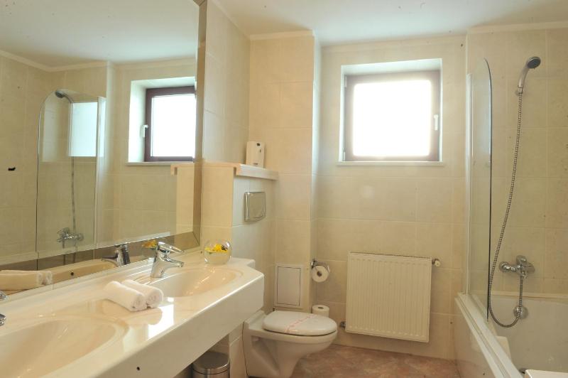 Double or Twin Room image 4