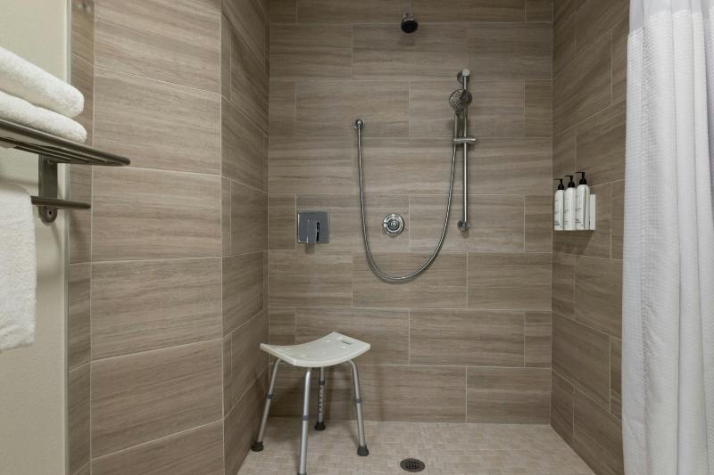 SpringHill Suites by Marriott Tampa Brandon - image 44