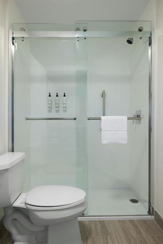 SpringHill Suites by Marriott Tampa Brandon - image 35