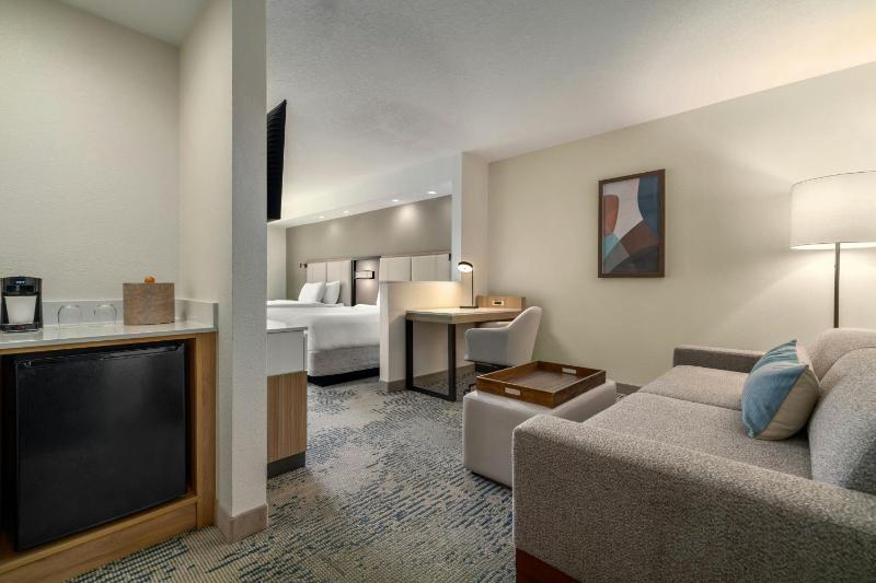 SpringHill Suites by Marriott Tampa Brandon - image 28