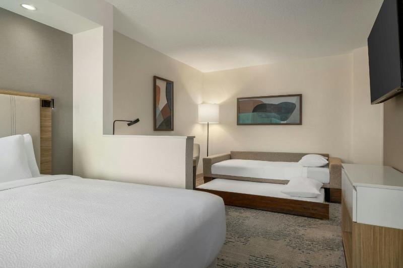 SpringHill Suites by Marriott Tampa Brandon - image 25