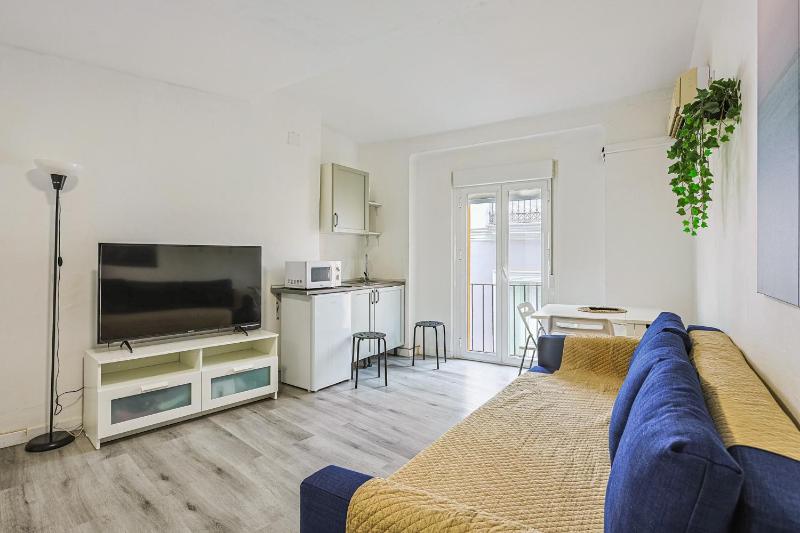 Apartamento Harinas 2 - Vacacional Sevilla - image 11
