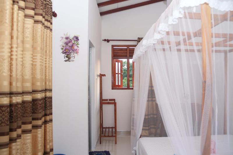 Sandu Guest - image 3