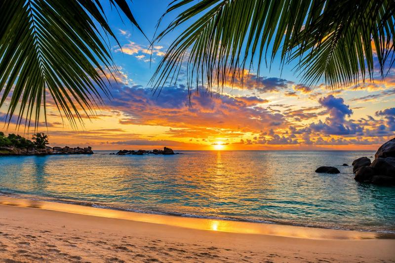 Caribbean Sunset Playa - image 34