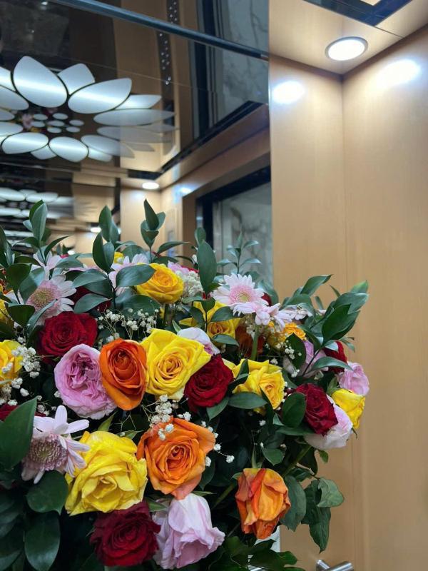 Mekong Rose 2 - image 10