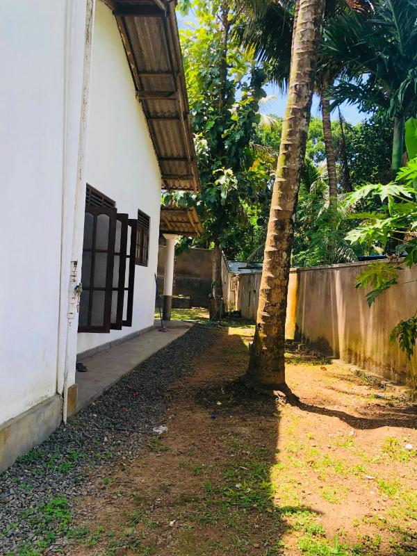 Katuu House - image 8