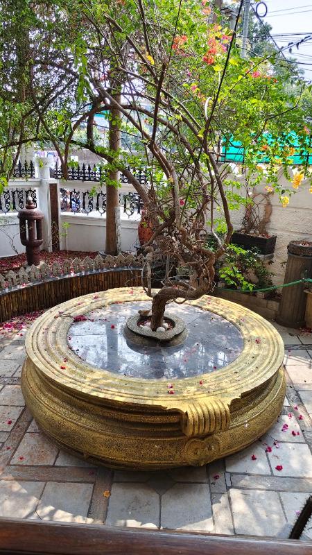 Luxstaykochi -Luxury Villa Near JLN Metro - image 28