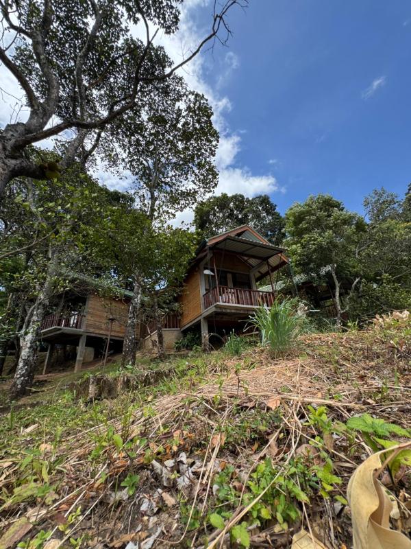 Saffron Eco Cottage - image 28