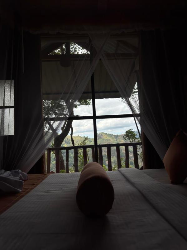 Saffron Eco Cottage - image 37