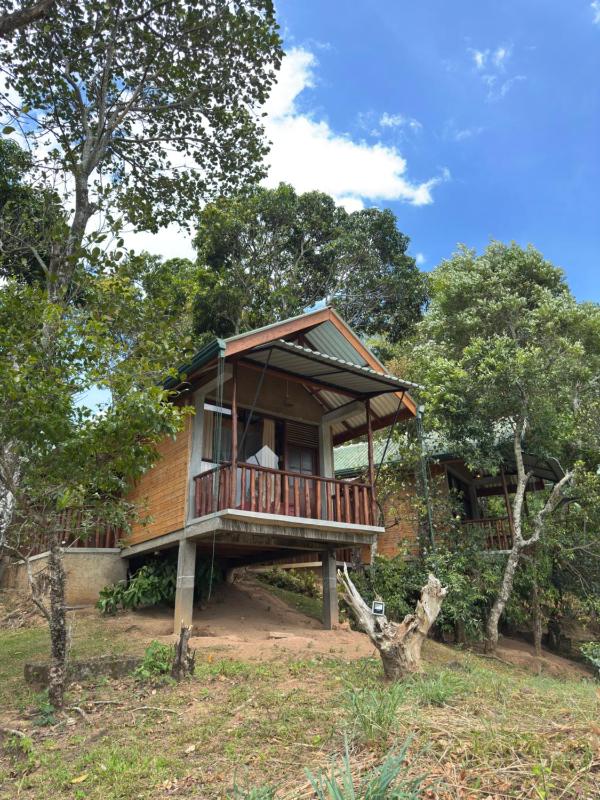 Saffron Eco Cottage - image 22