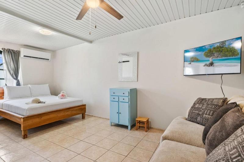 5BR Aruba Villa with Private Pool Near Eagle Beach - image 33