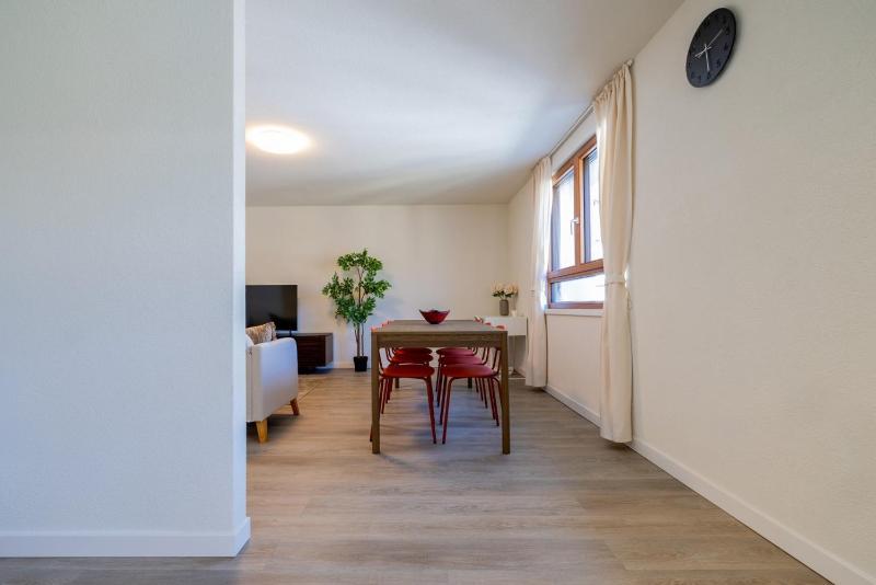 The line Apartment in Zurich Oerlikon - image 10