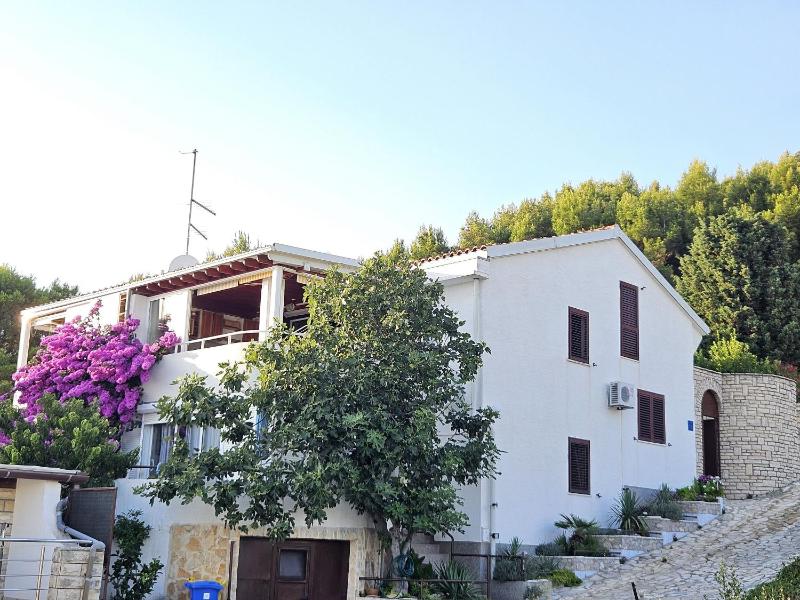 Apartment Branka - image 26