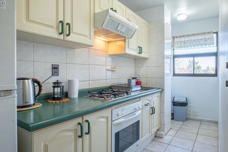 Vive Pucón 3 bedrooms 2 bathrooms balcony and parking - image 3