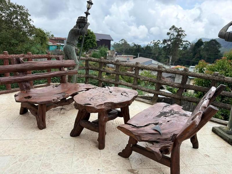 The ritz villa Nuwaraeliya - image 15