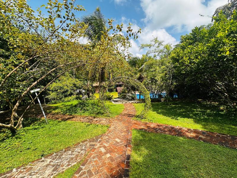 The Nature Palace Villa - image 6