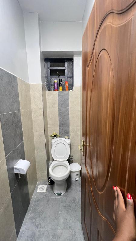 Cozy Fully Furnished Two Bedroom in Nakuru - image 10