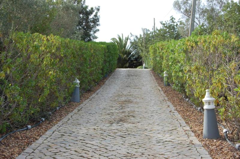 Charming villa with 3 bedrooms and sea view - image 45