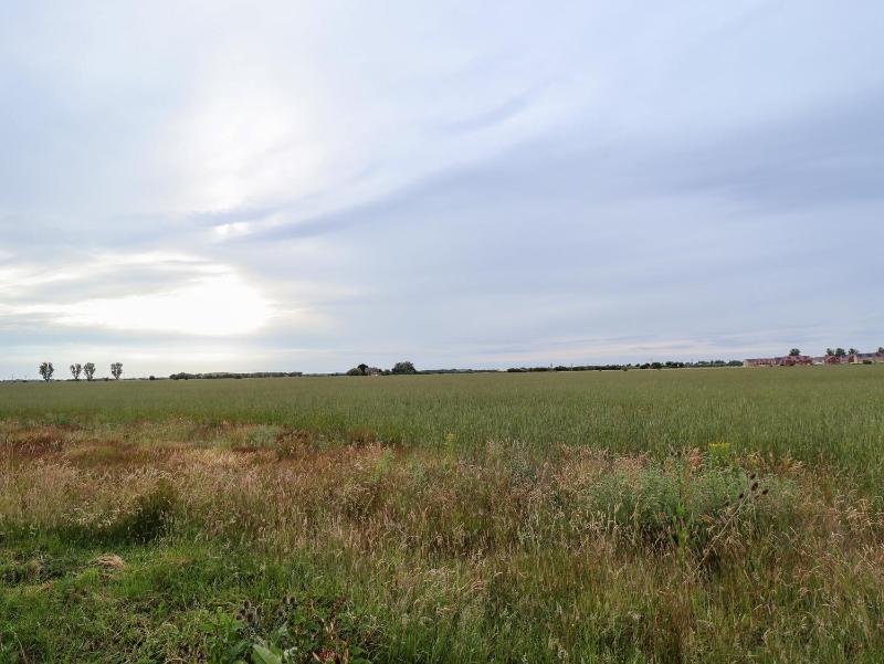 Holiday Cottage 2 - image 2