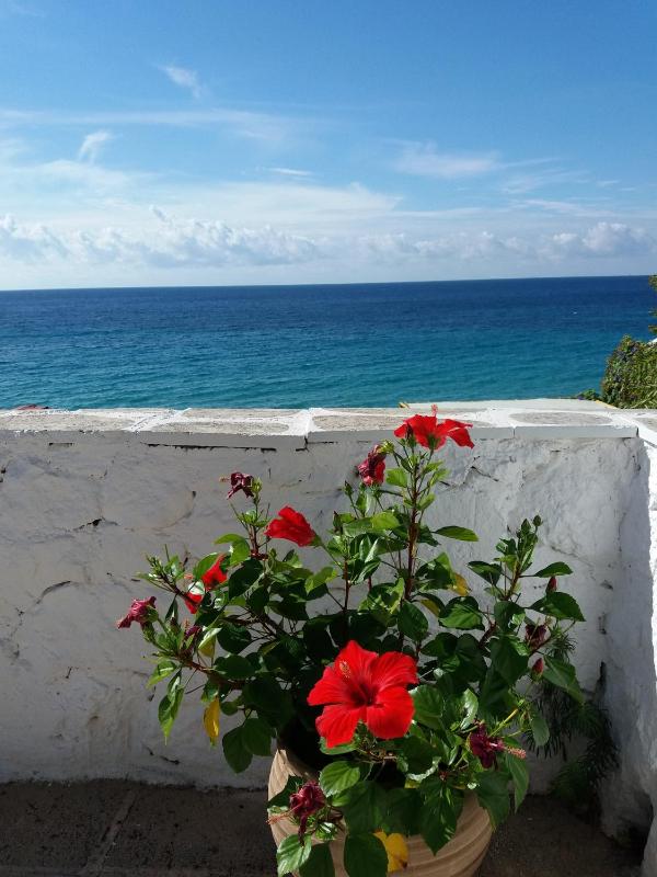 Constantinos Apartments - image 29