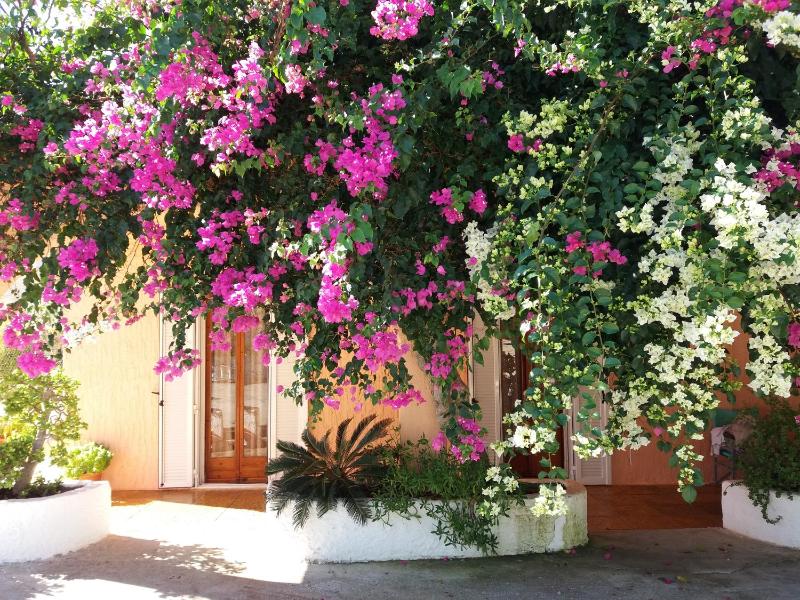Constantinos Apartments - image 14