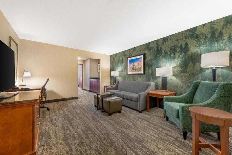 Drury Plaza Hotel Colorado Springs Near the Air Force Academy - image 11