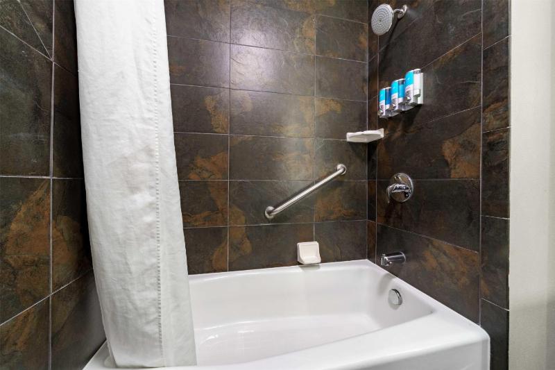 Drury Plaza Hotel New Orleans - image 4