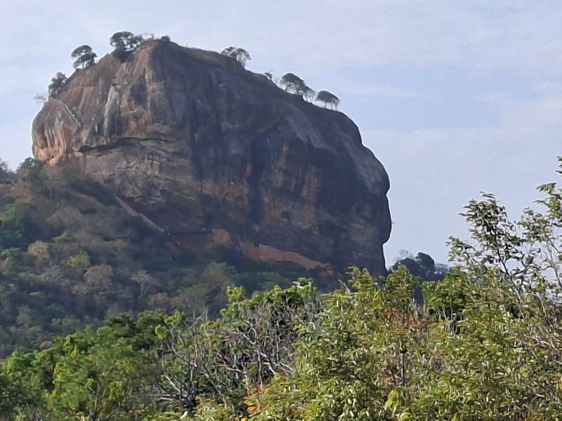 Sigiri Arana Sigiriya - image 1