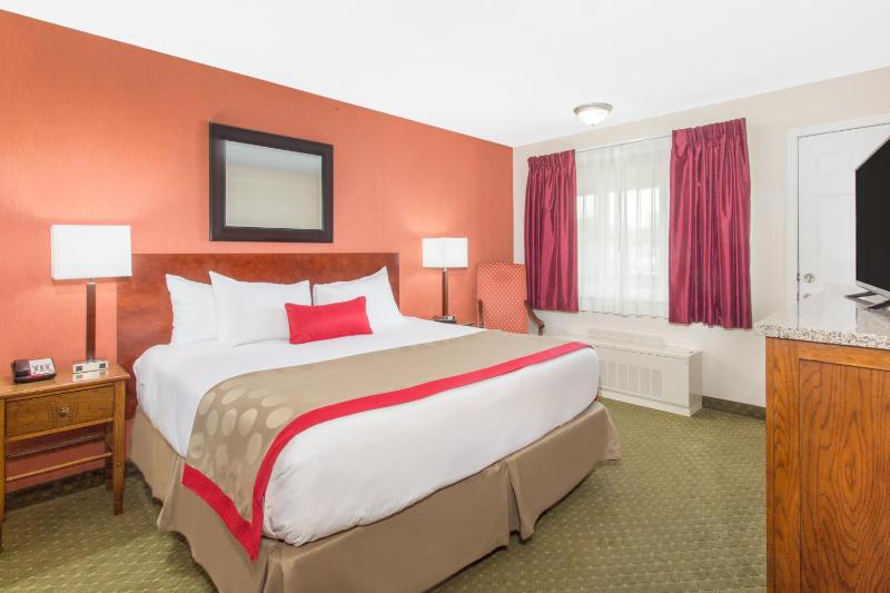 Standard King Room with One King Bed and Courtyard View image 4