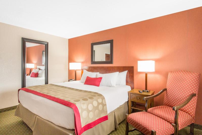 Standard King Room with One King Bed and Courtyard View image 4