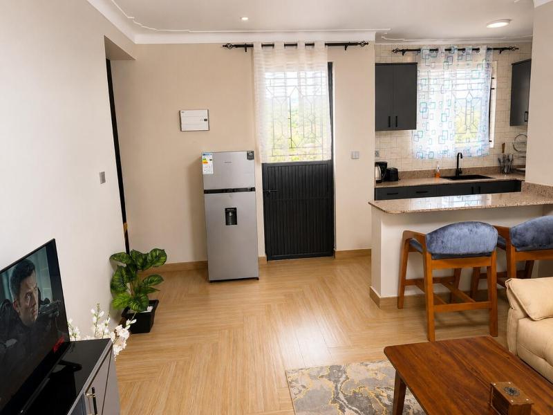 Milpark Executive Suite- Ntinda Premium 1BR APT - image 10