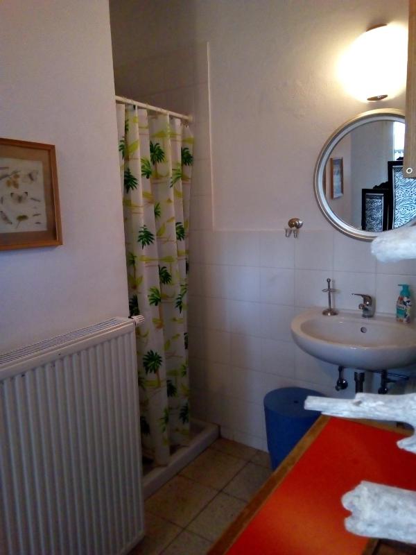 One-Bedroom Apartment image 3