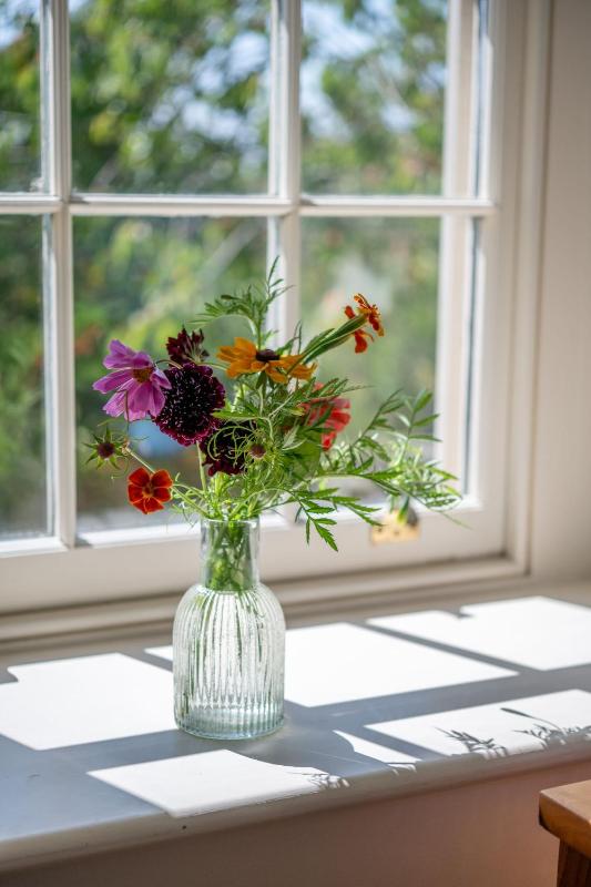Thatchways - image 12